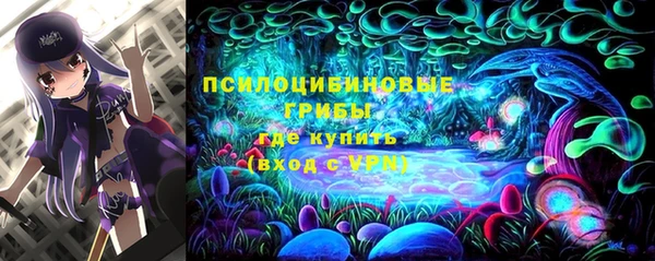 синтетический гашиш Приозерск