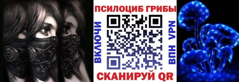 Псилоцибиновые грибы Psilocybine cubensis  Бакал 