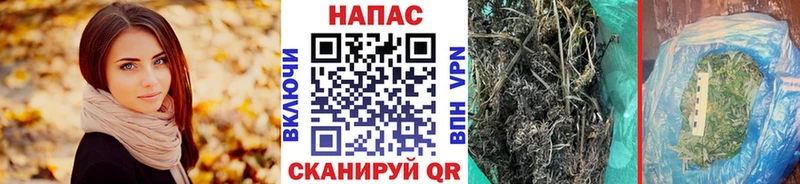 Канабис VHQ  Бакал 